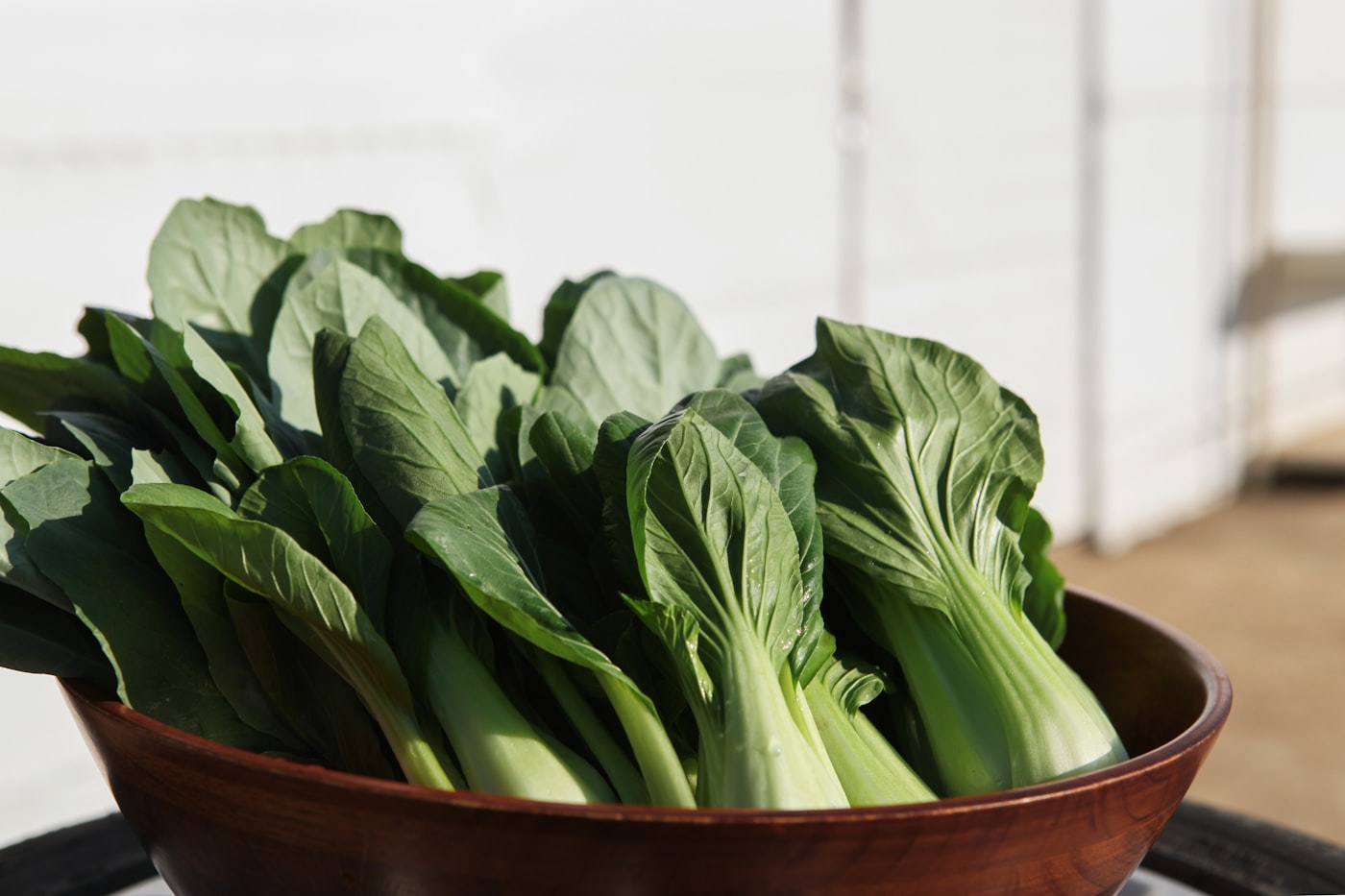Sayuran Daun